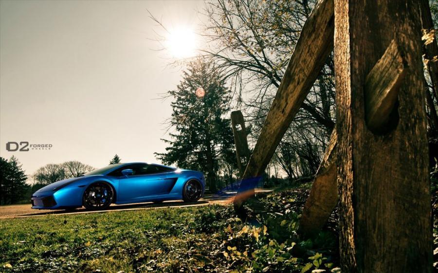  Lamborghini Gallardo VS6 by D2Forged 2012 года  (фото 6 из 7)